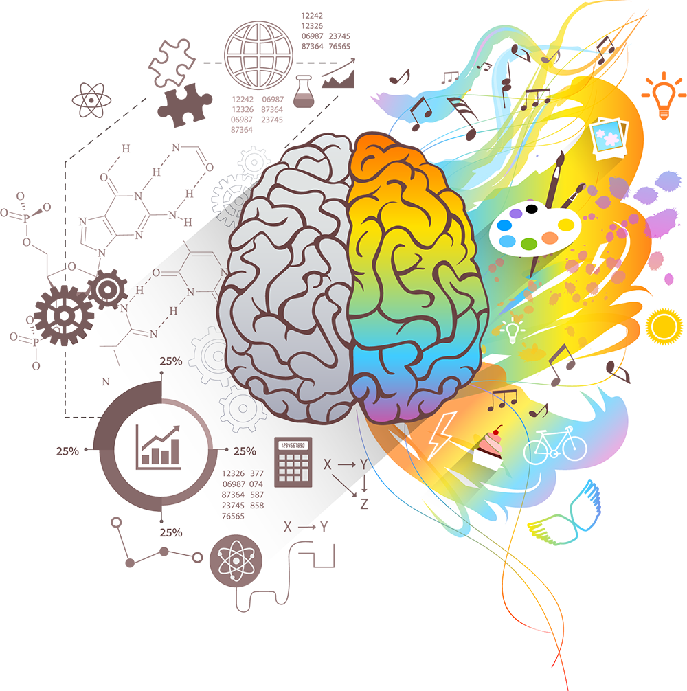 Right and Left Brain